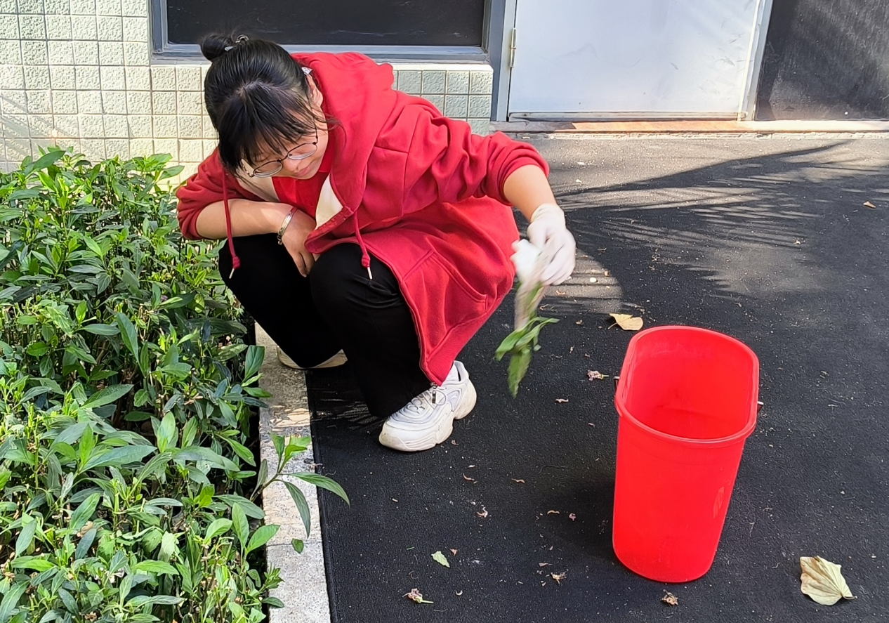 图片2.png 图片2.png