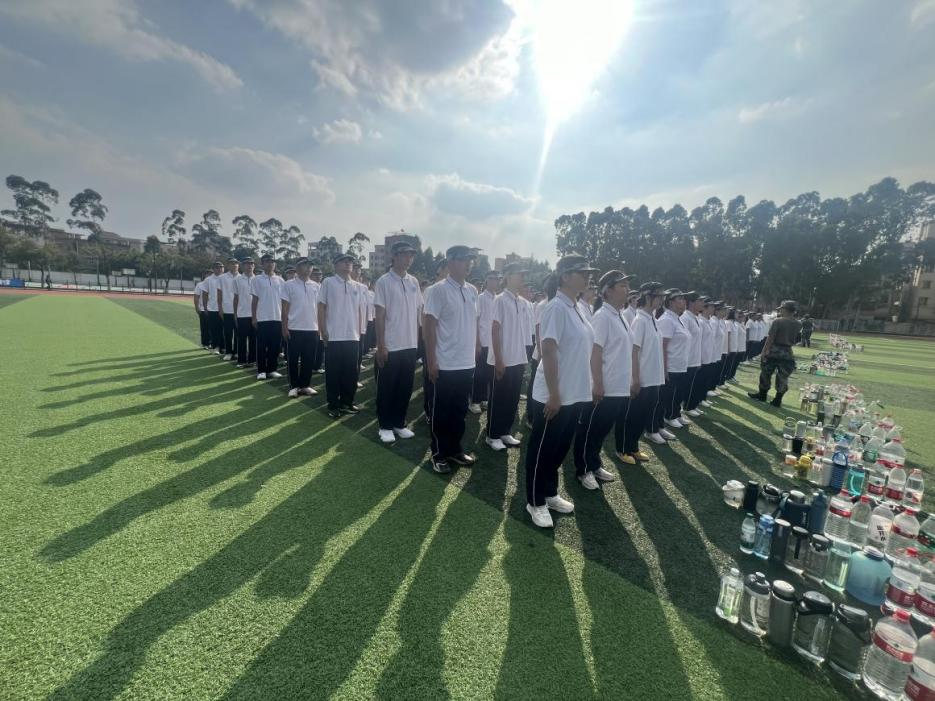 图片1.png 图片1.png